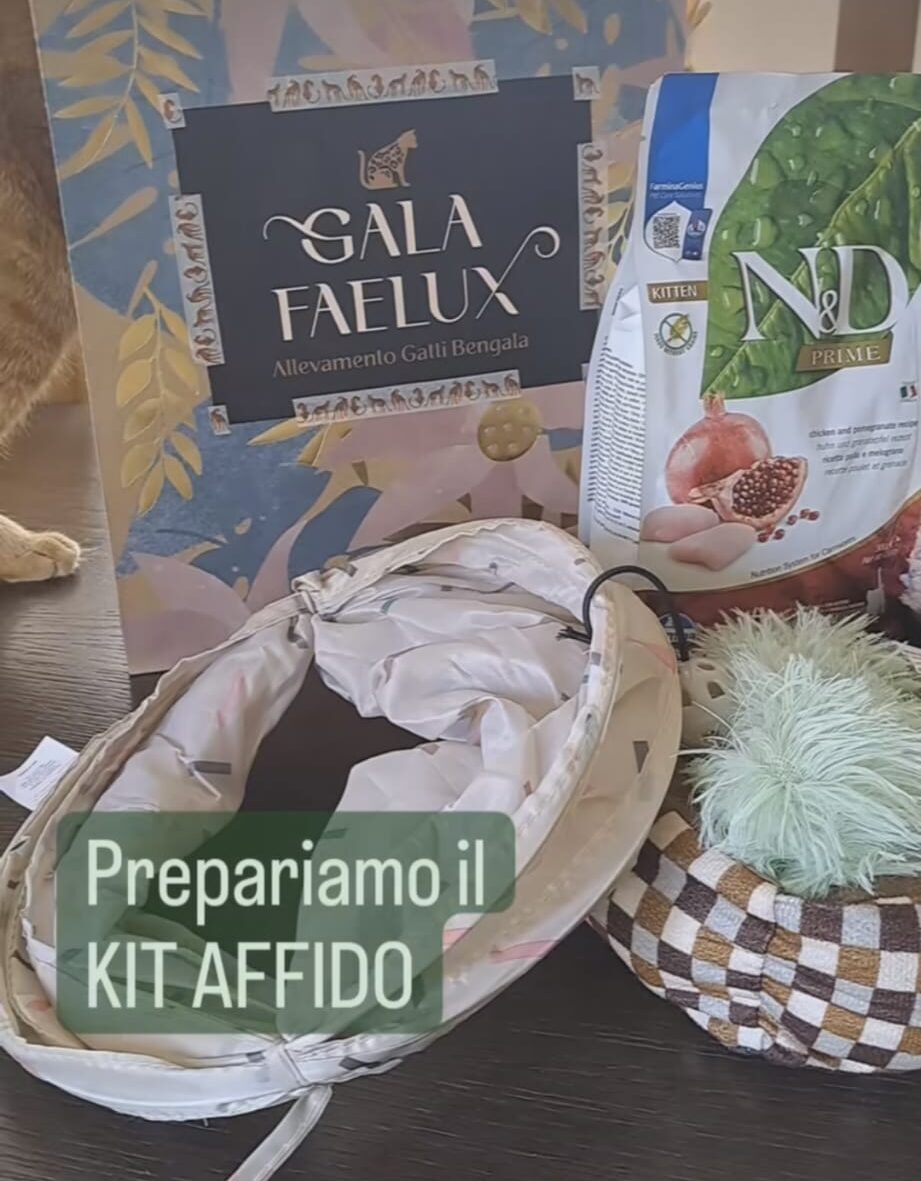 kit affido allevamento bengala